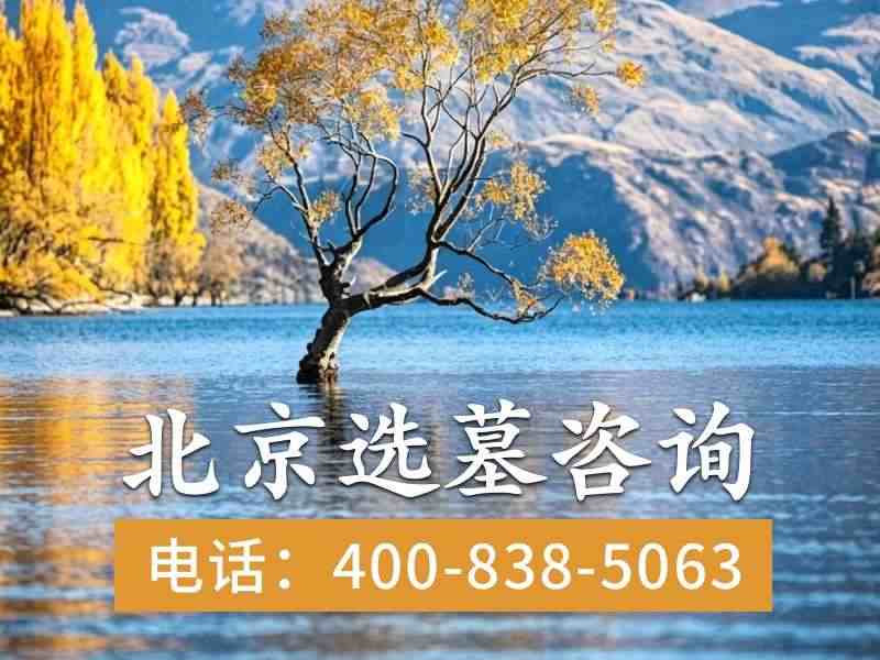 万佛华侨陵园万佛塔葬政策与信仰因素解析