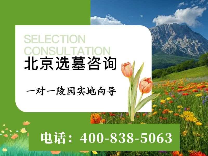 绿植常青映孝道：生态与人文和谐画卷