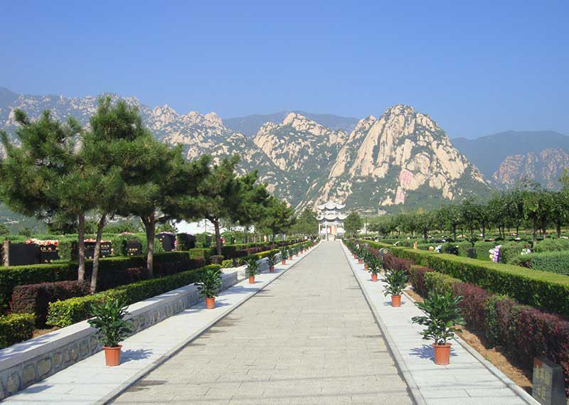 长安园公墓墓区大道